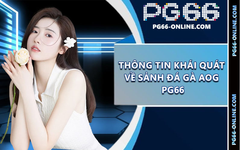 Đá gà AOG